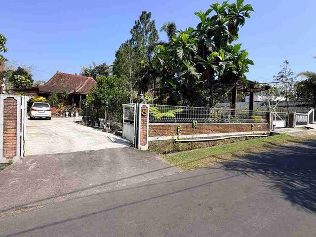 place photo 5