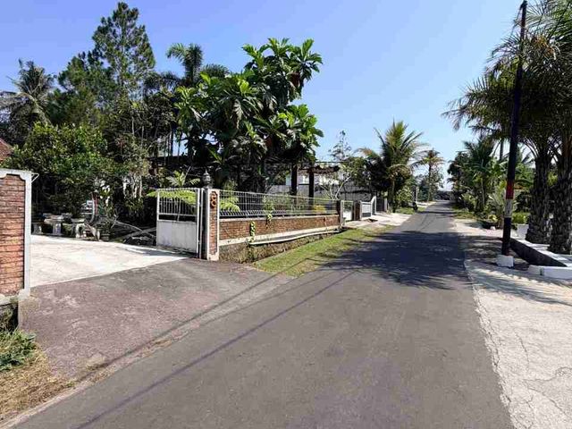 place photo 6