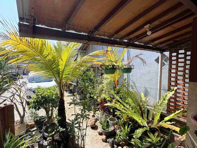 place photo 45