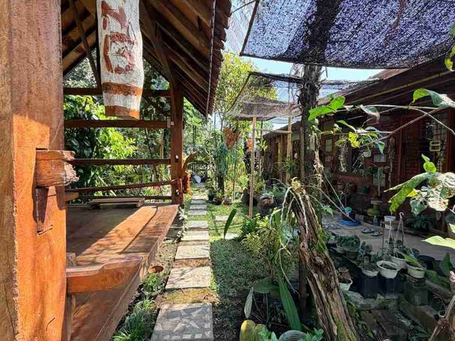 place photo 48