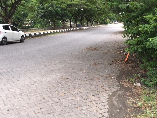 place photo 4