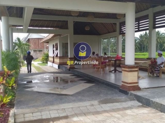 place photo 12