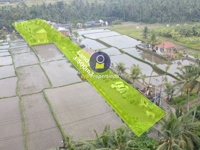 place photo 13