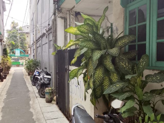 place photo 11
