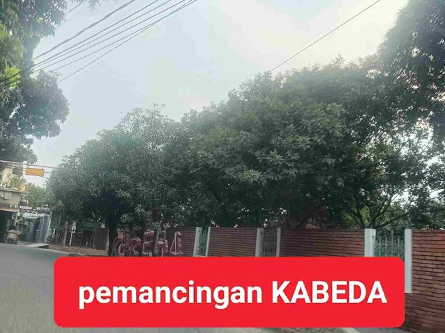 place photo 17