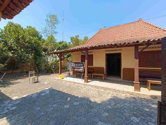 place photo 16