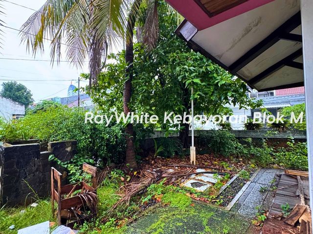 place photo 18