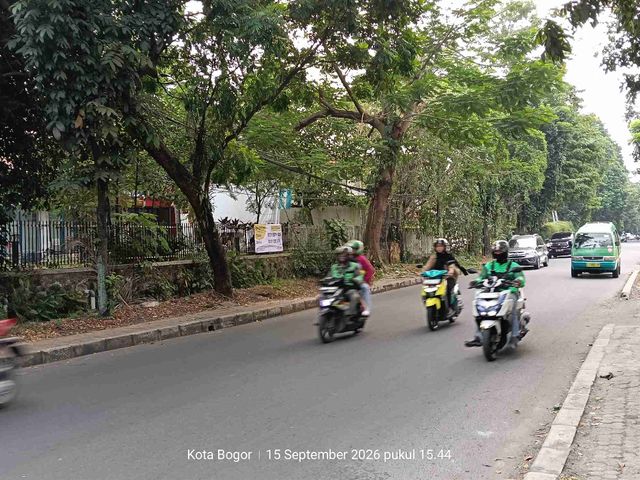 place photo 7