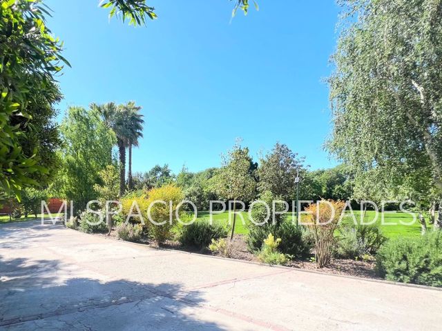 place photo 32