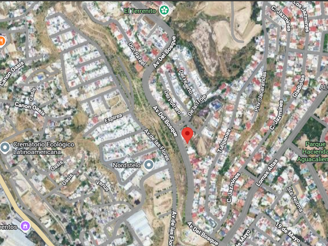 place photo 4