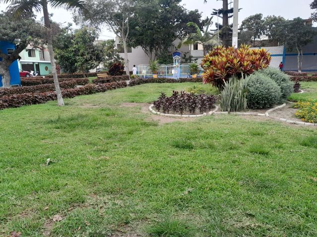 place photo 17
