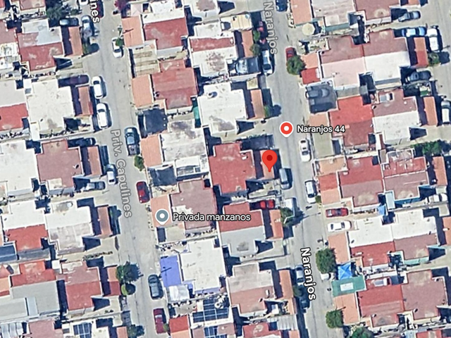 place photo 12