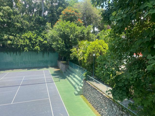 place photo 38