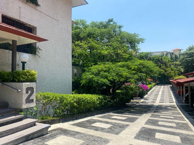 place photo 33