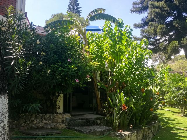 place photo 23