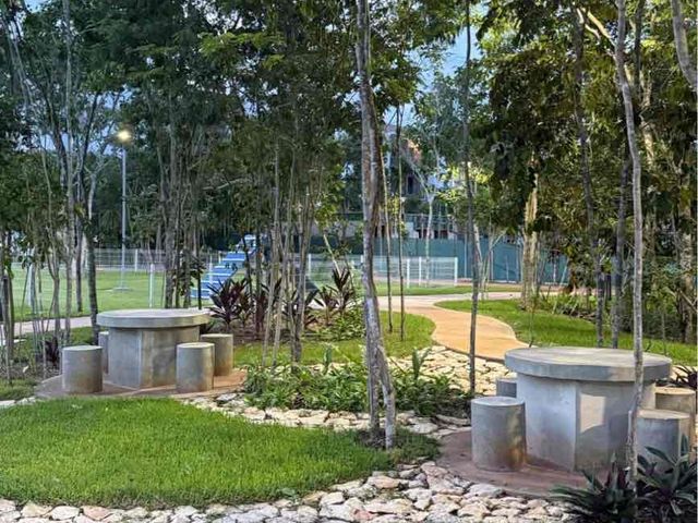 place photo 14