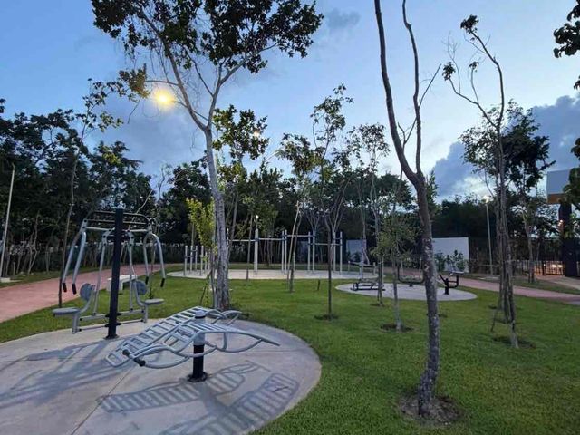 place photo 16