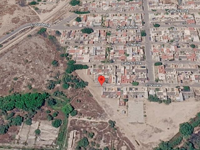 place photo 12