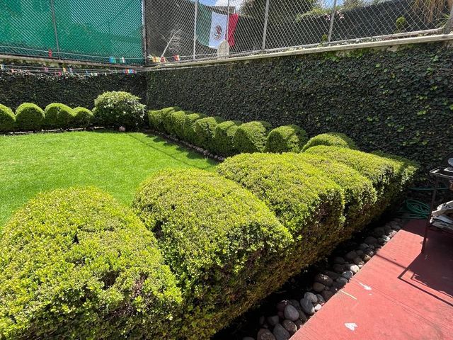 place photo 20