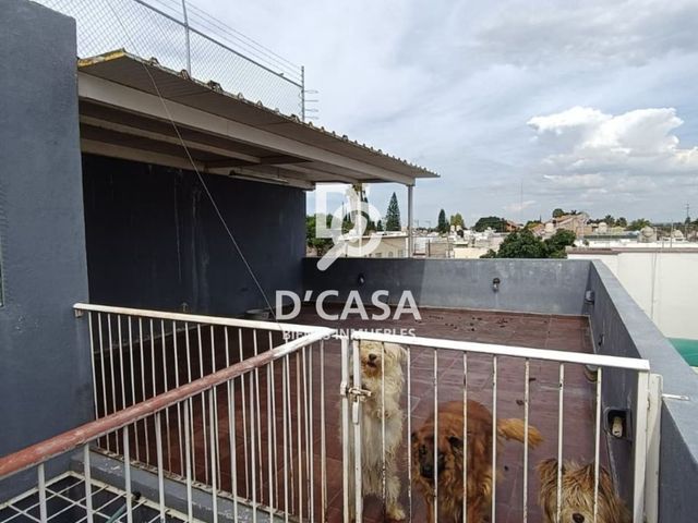 place photo 16