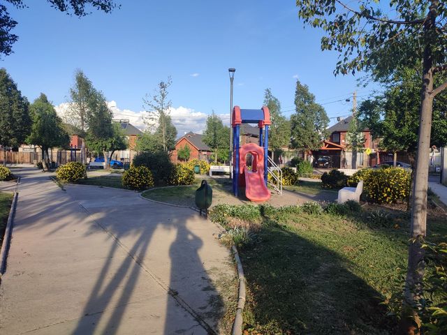 place photo 16