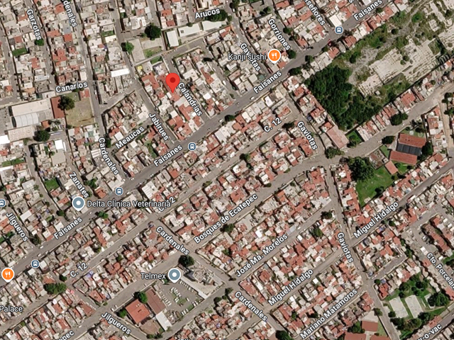 place photo 19
