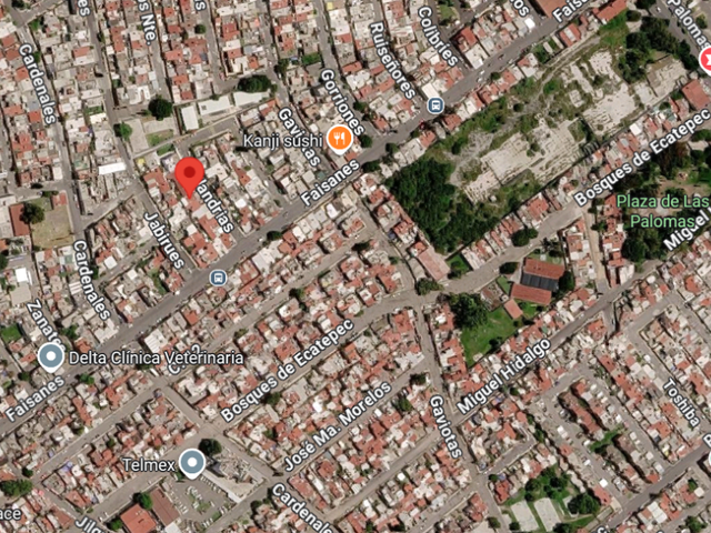 place photo 20