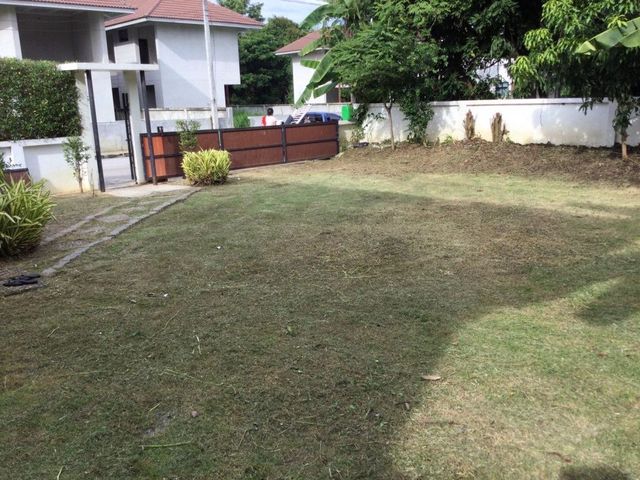 place photo 34