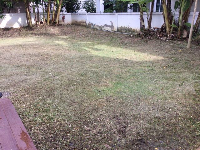 place photo 35