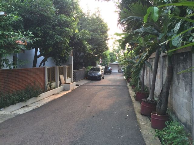 place photo 5