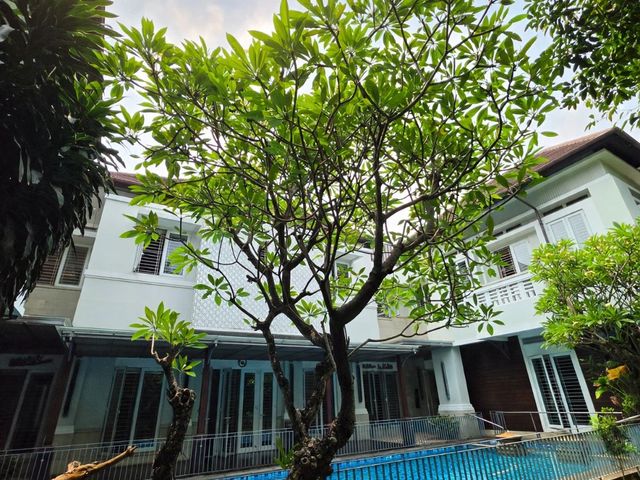 place photo 32
