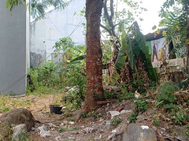 place photo 15
