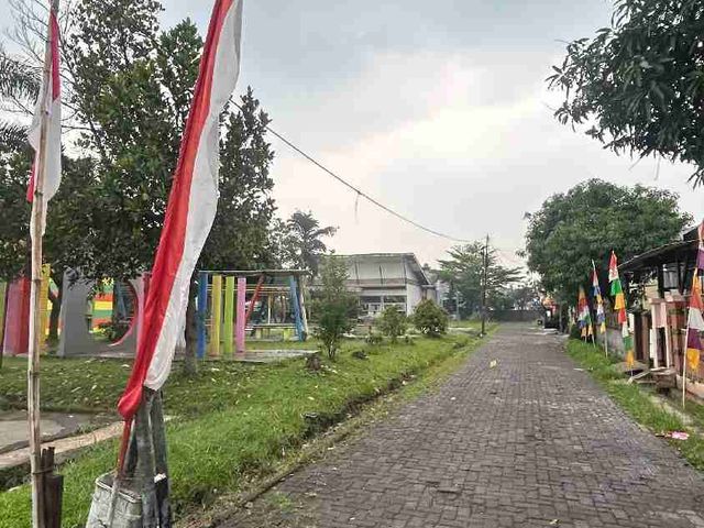 place photo 13