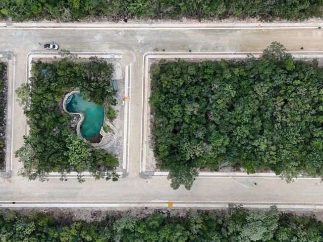 VENTA DE LOTE FRENTE A CENOTE EN PUERTO MORELOS | 24 MSI