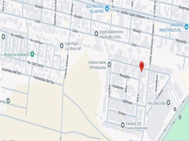 place photo 8