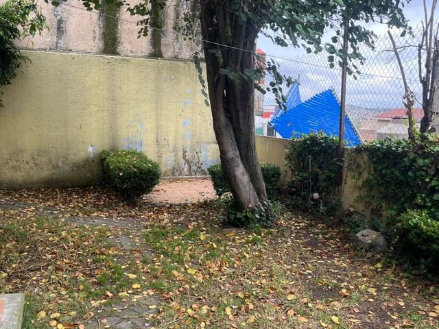 place photo 36