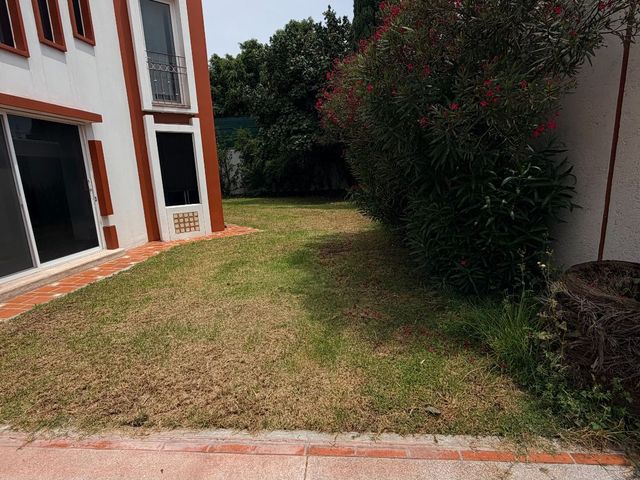 place photo 56