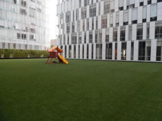 place photo 37