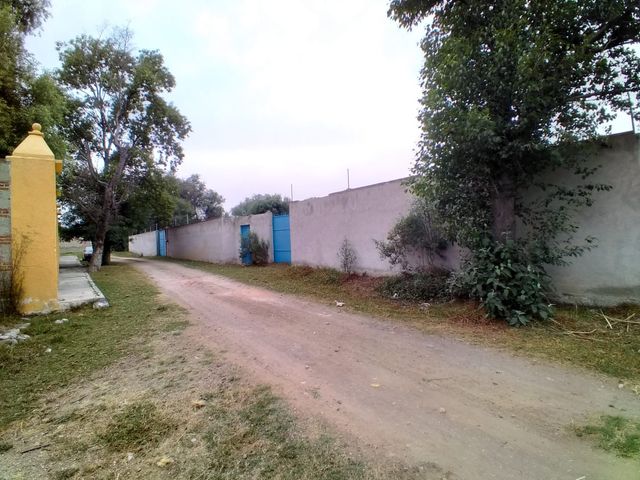 place photo 25