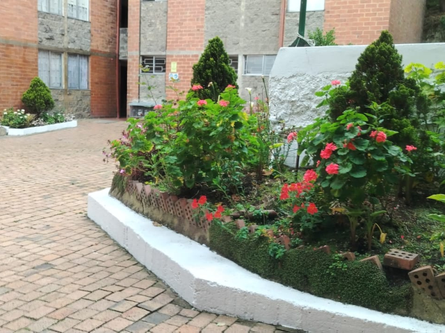 place photo 17