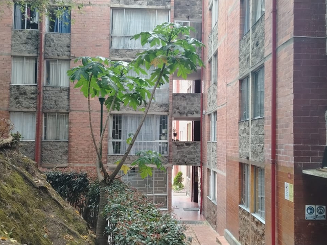 place photo 22