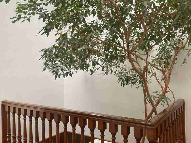 place photo 46
