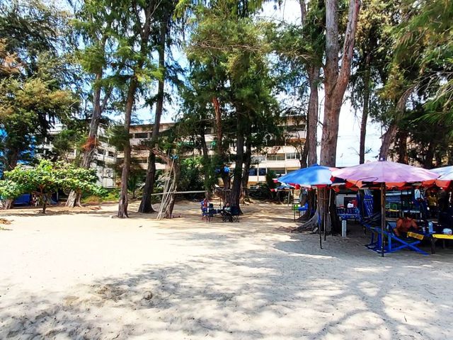 place photo 25