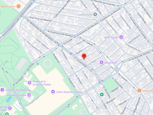 place photo 6