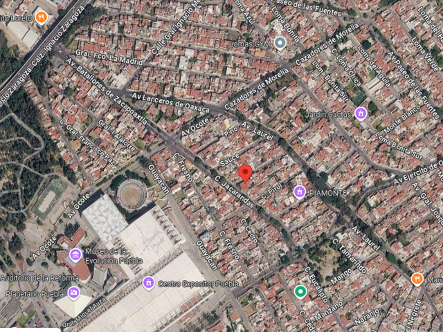 place photo 7