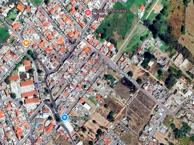 place photo 7