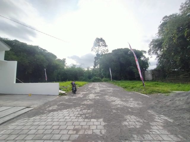 place photo 12