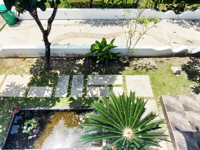 place photo 49
