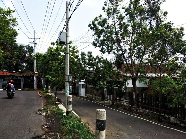 place photo 13