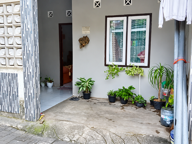place photo 1